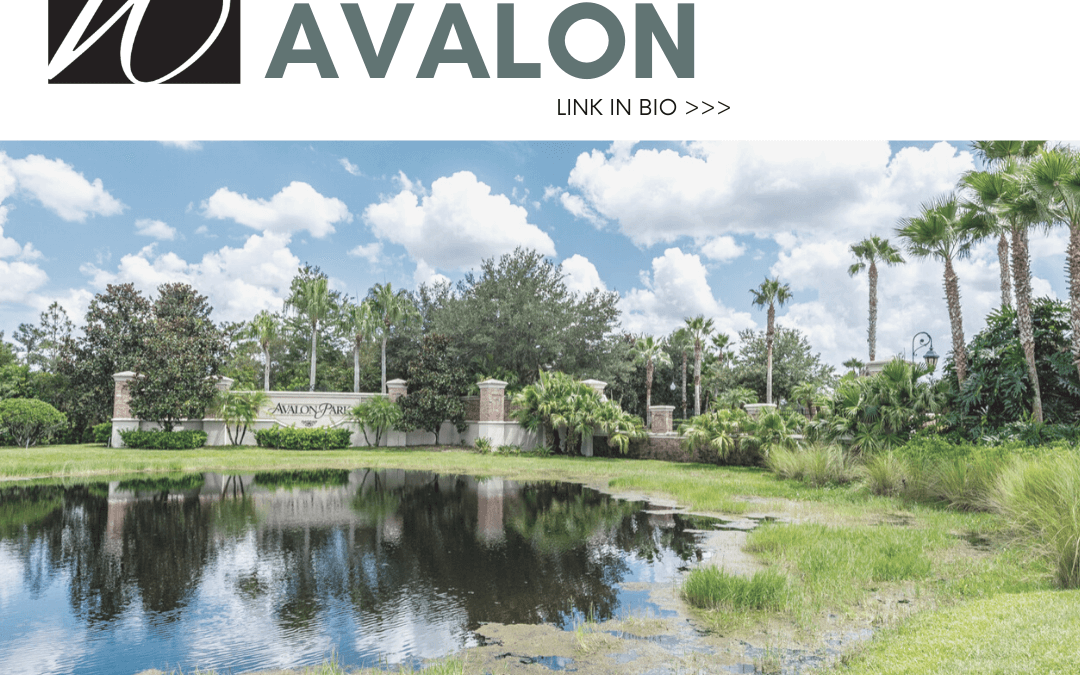 Avalon Community Spotlight