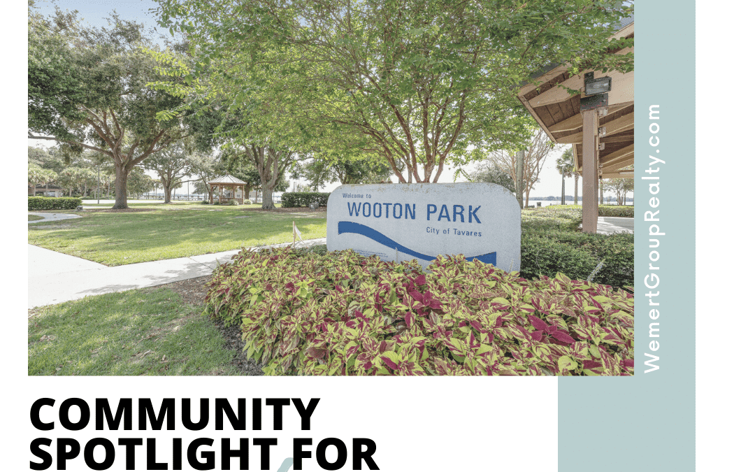 Tavares Community Spotlight