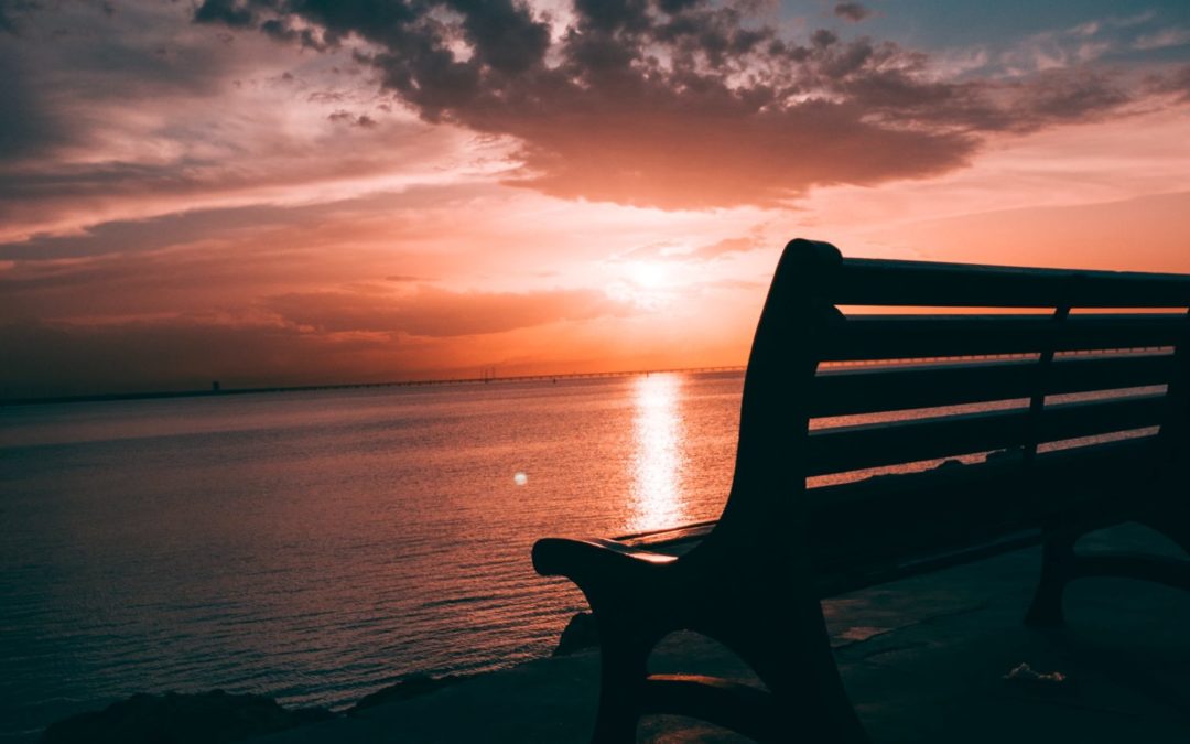 Dundee Community Spotlight