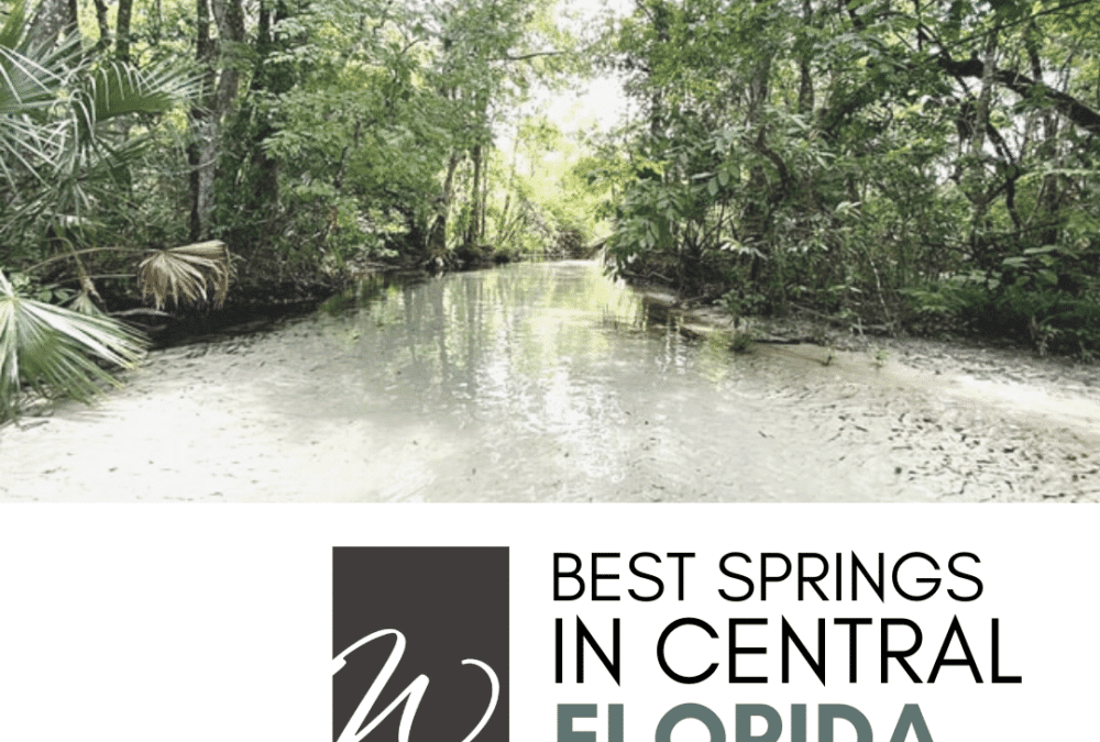 Best Springs In Central Florida