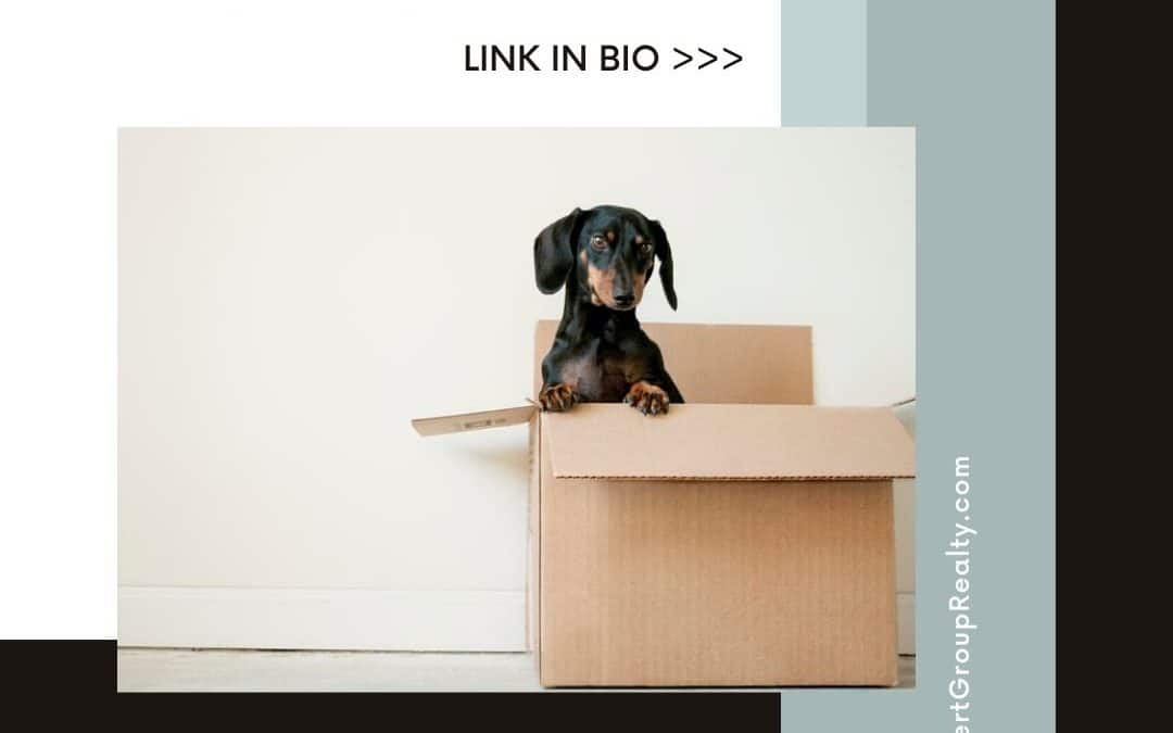 Five Things to do When Moving