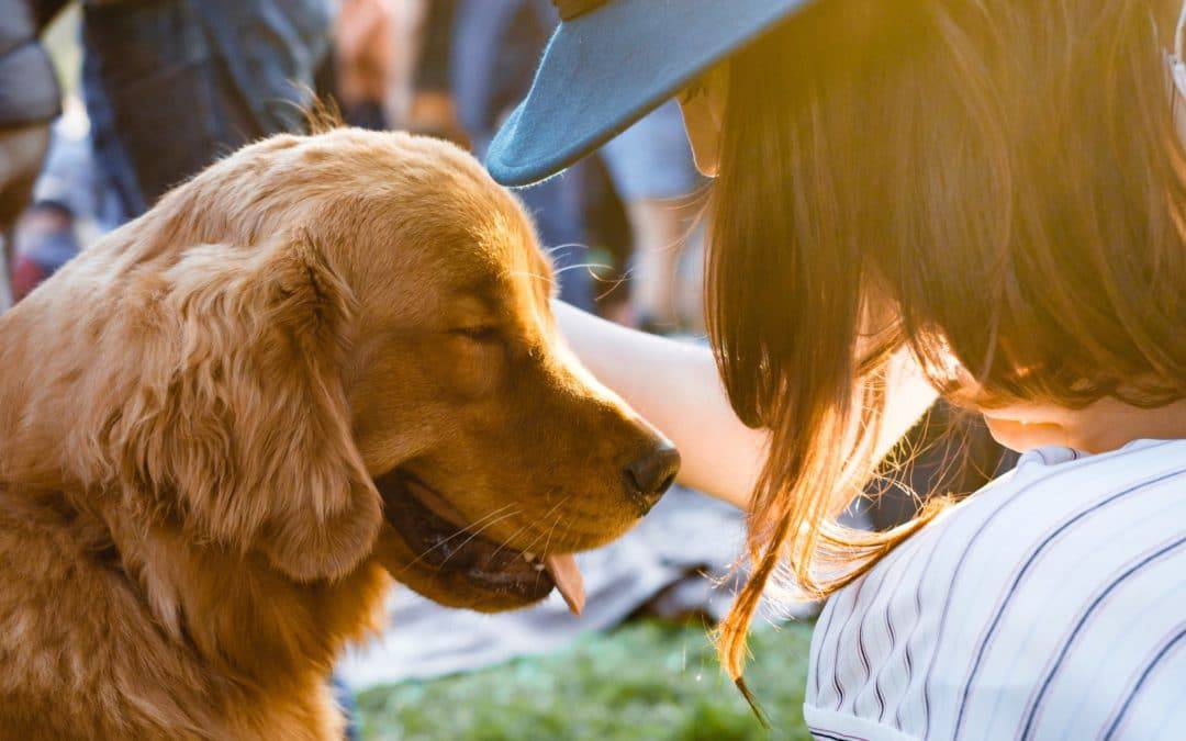 Pet Boarding Locations in Central Florida