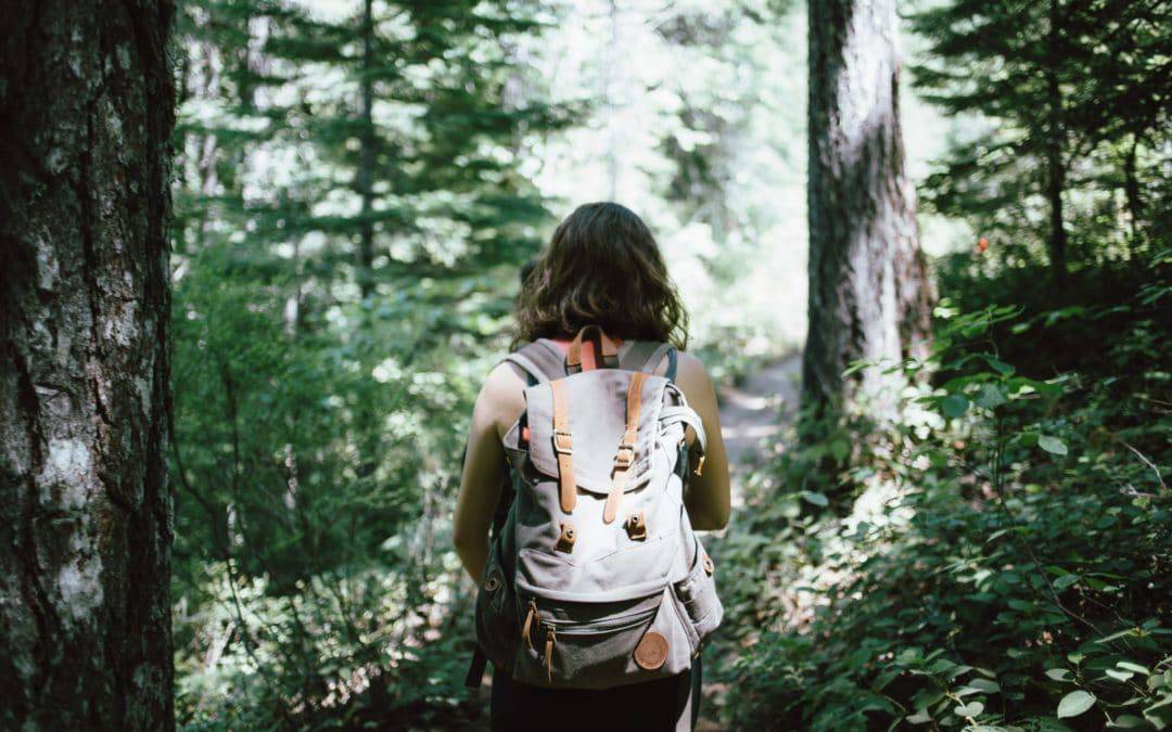 Best Places to Hike in Central Florida