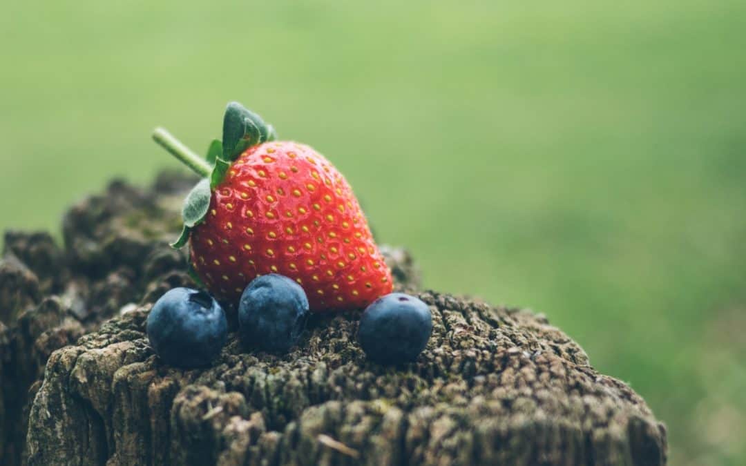 Places to Pick Fruit in Central Florida