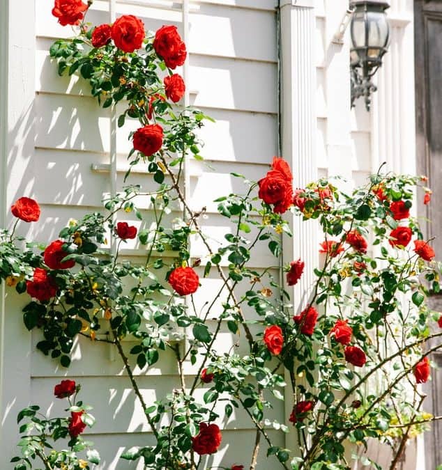Tips To Protect Your Home