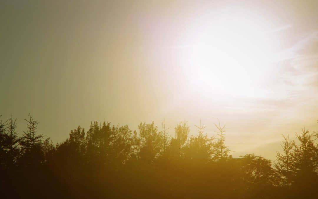 Ocoee Community Spotlight