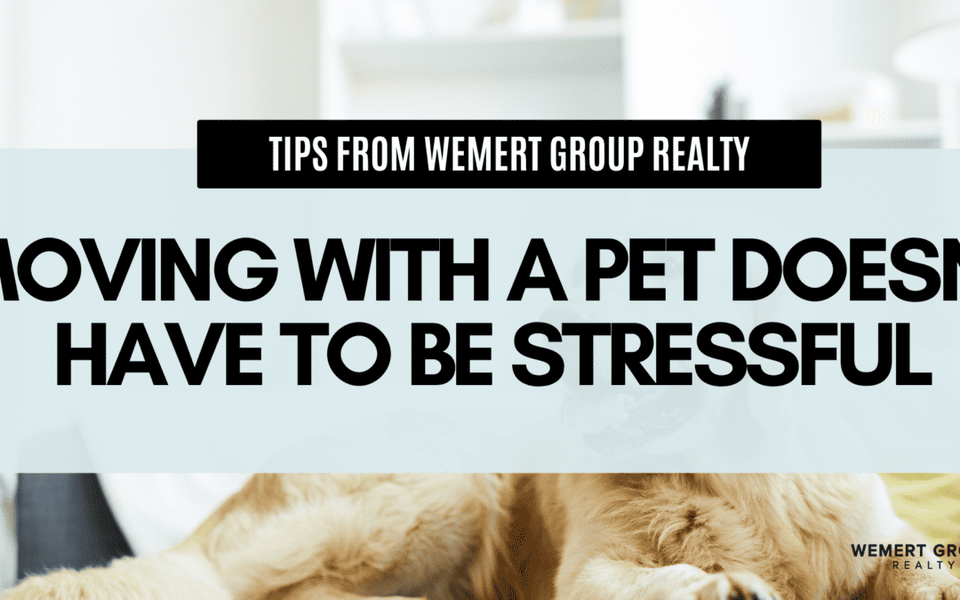 Moving with a Pet Doesn’t Have to Be Stressful