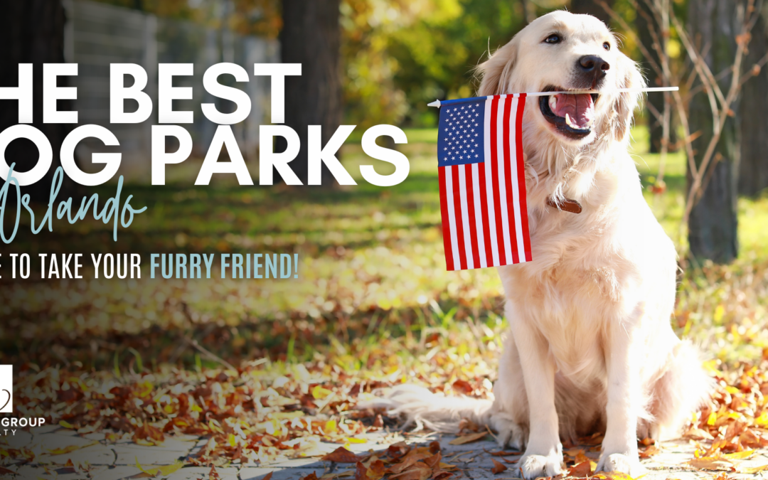 The Best Dog Parks in Orlando: Where to Take Your Furry Friend