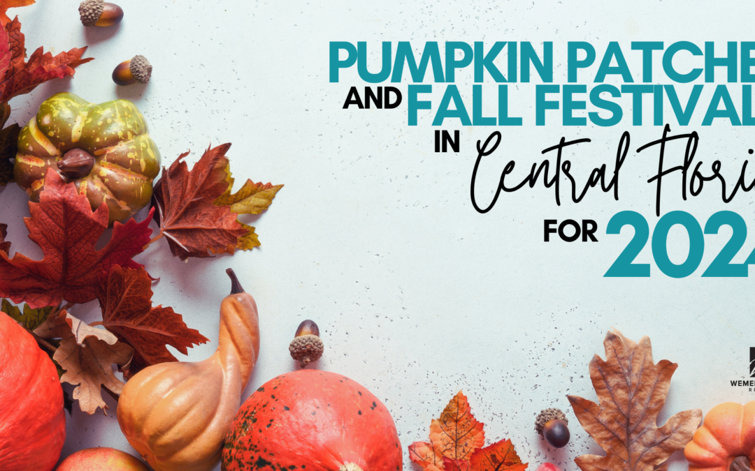 Pumpkin Patches and Fall Festivals in Central Florida for 2024