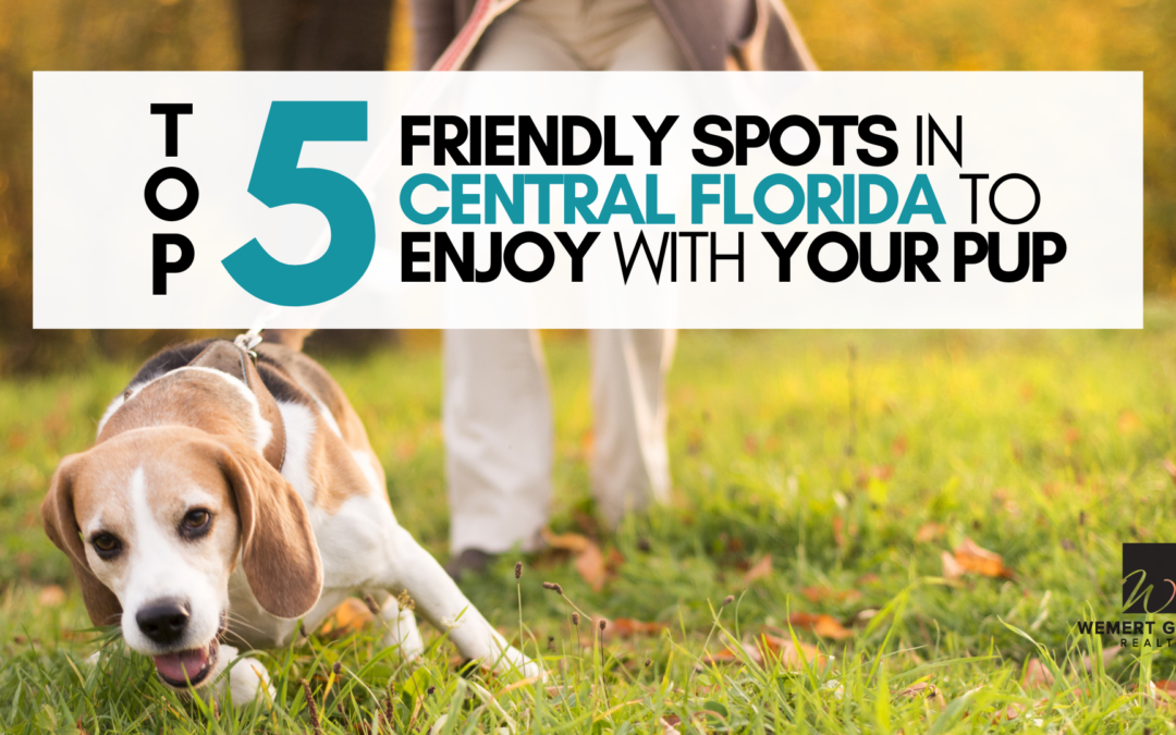 Top 5 Dog-Friendly Spots in Central Florida to Enjoy With Your Pup