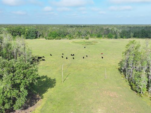 land for sale florida