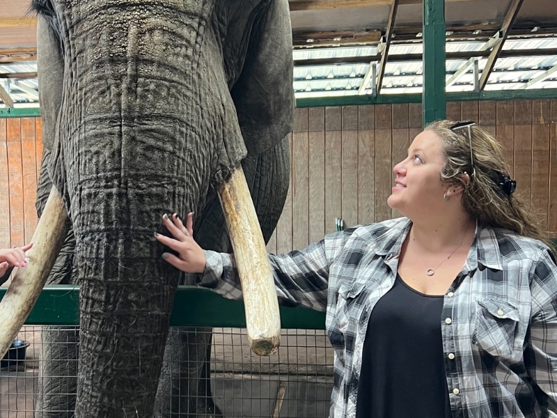 Lauren Miller smiling petting elephant