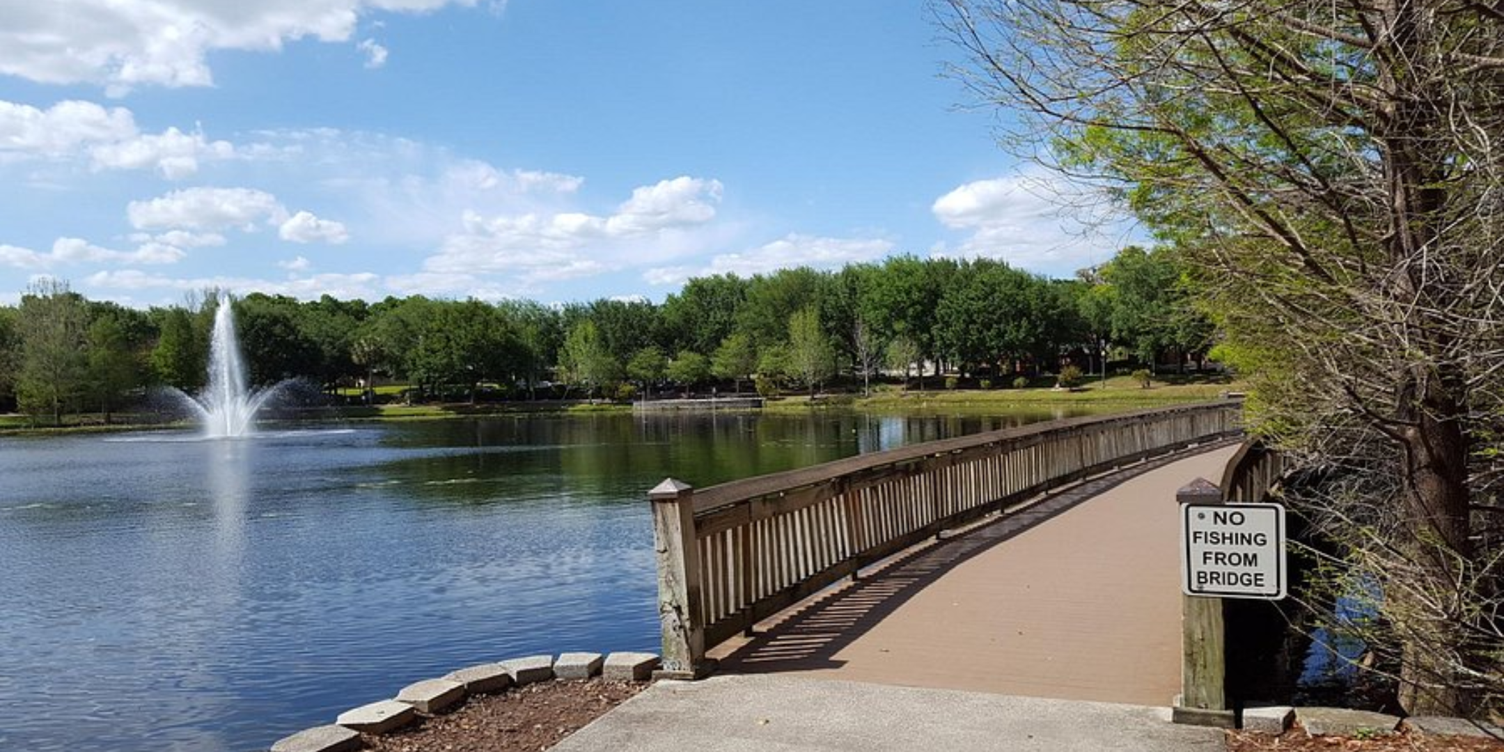 Blog Featured Image (92)