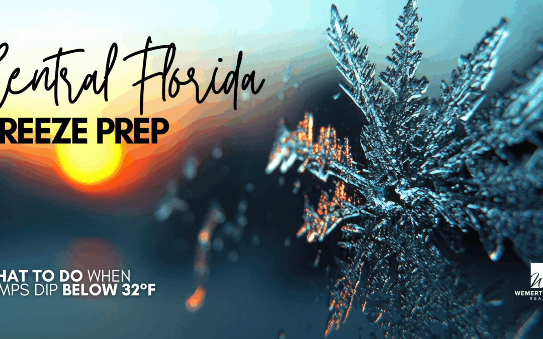 Central Florida Freeze Prep: What to Do When Temps Dip Below 32°F
