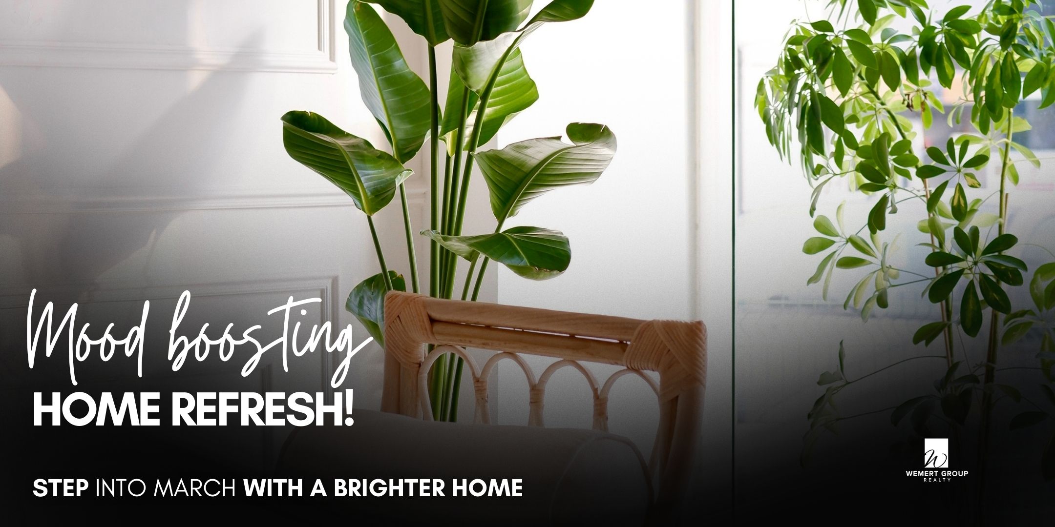 Blog Featured Image (18)