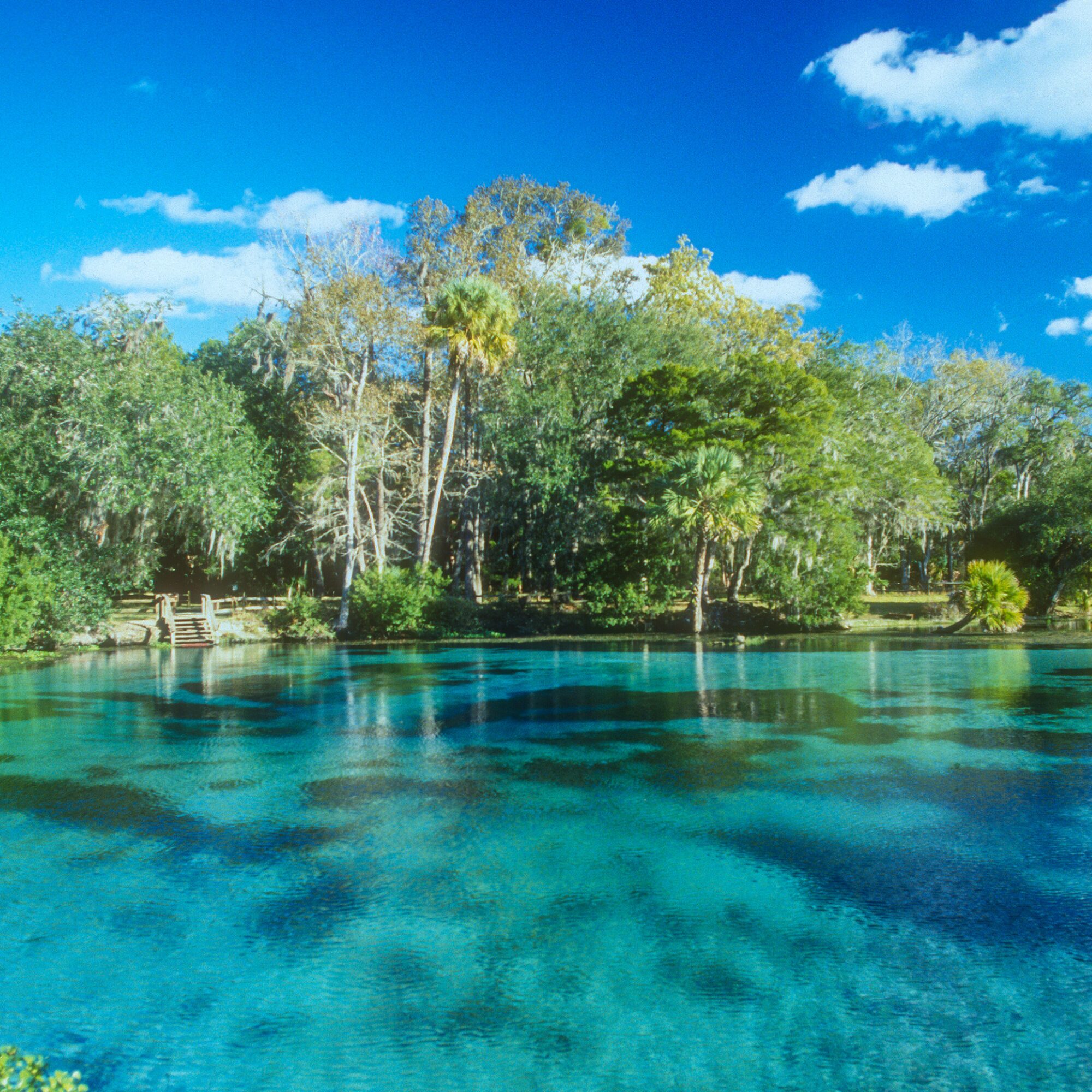 Marion County Marion County