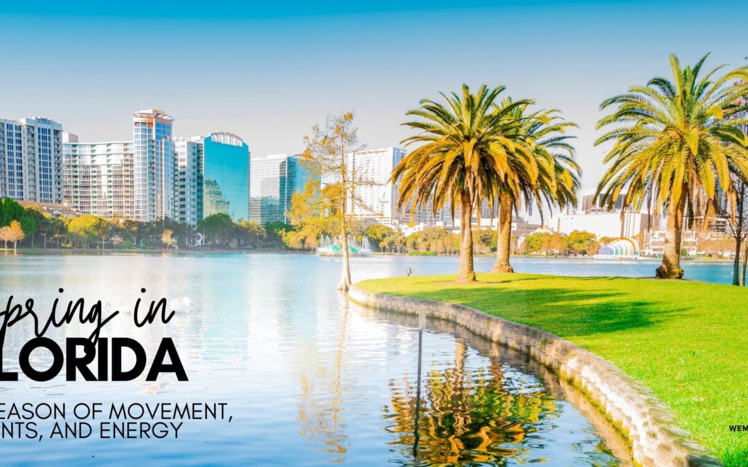 Spring in Florida: A Season of Movement, Events, and Energy