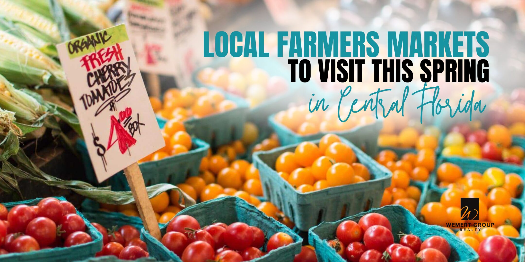 Blog Featured Image (25)