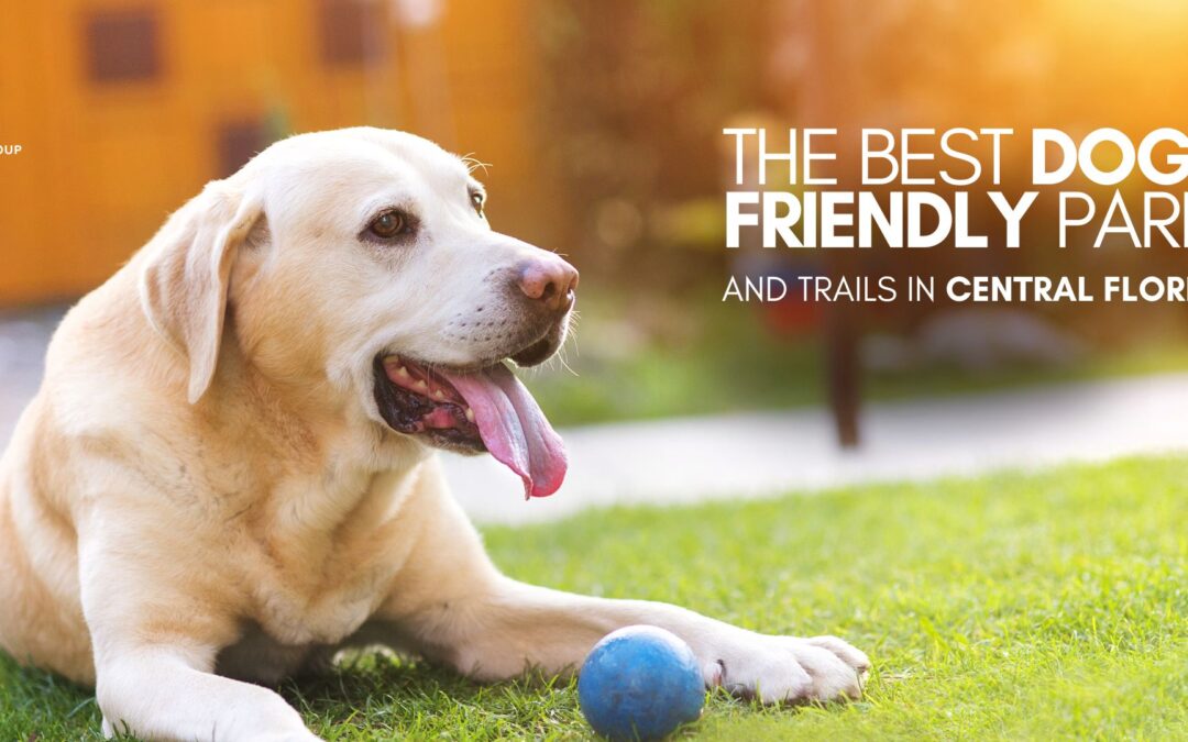 The Best Dog-Friendly Parks and Trails in Central Florida