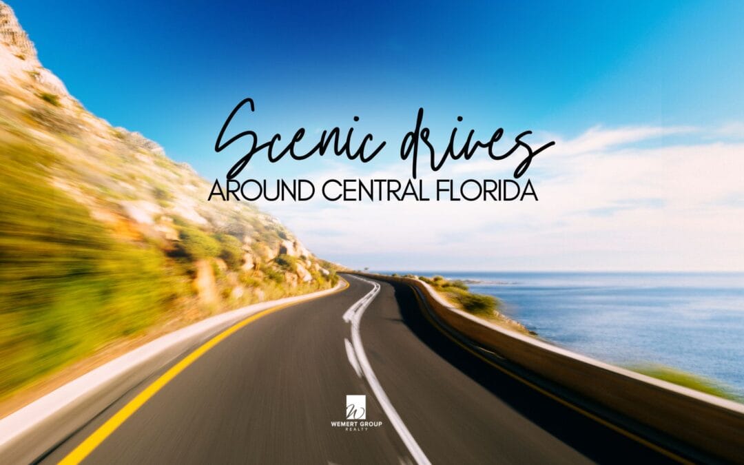 The Best Scenic Drives Around Central Florida