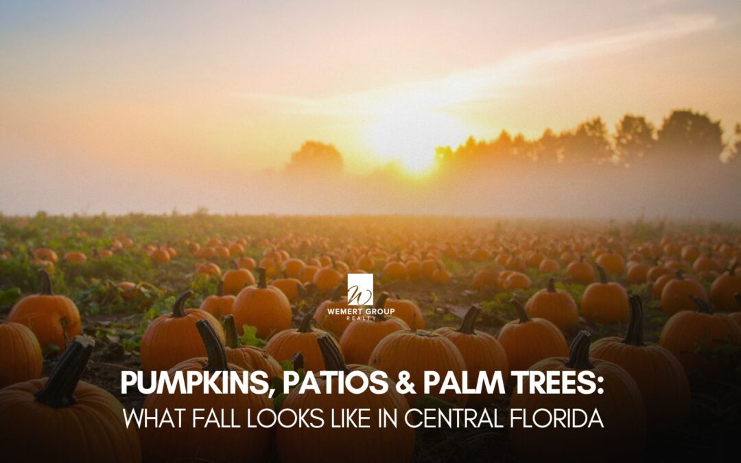 Pumpkins, Patios & Palm Trees: What Fall Looks Like in Central Florida